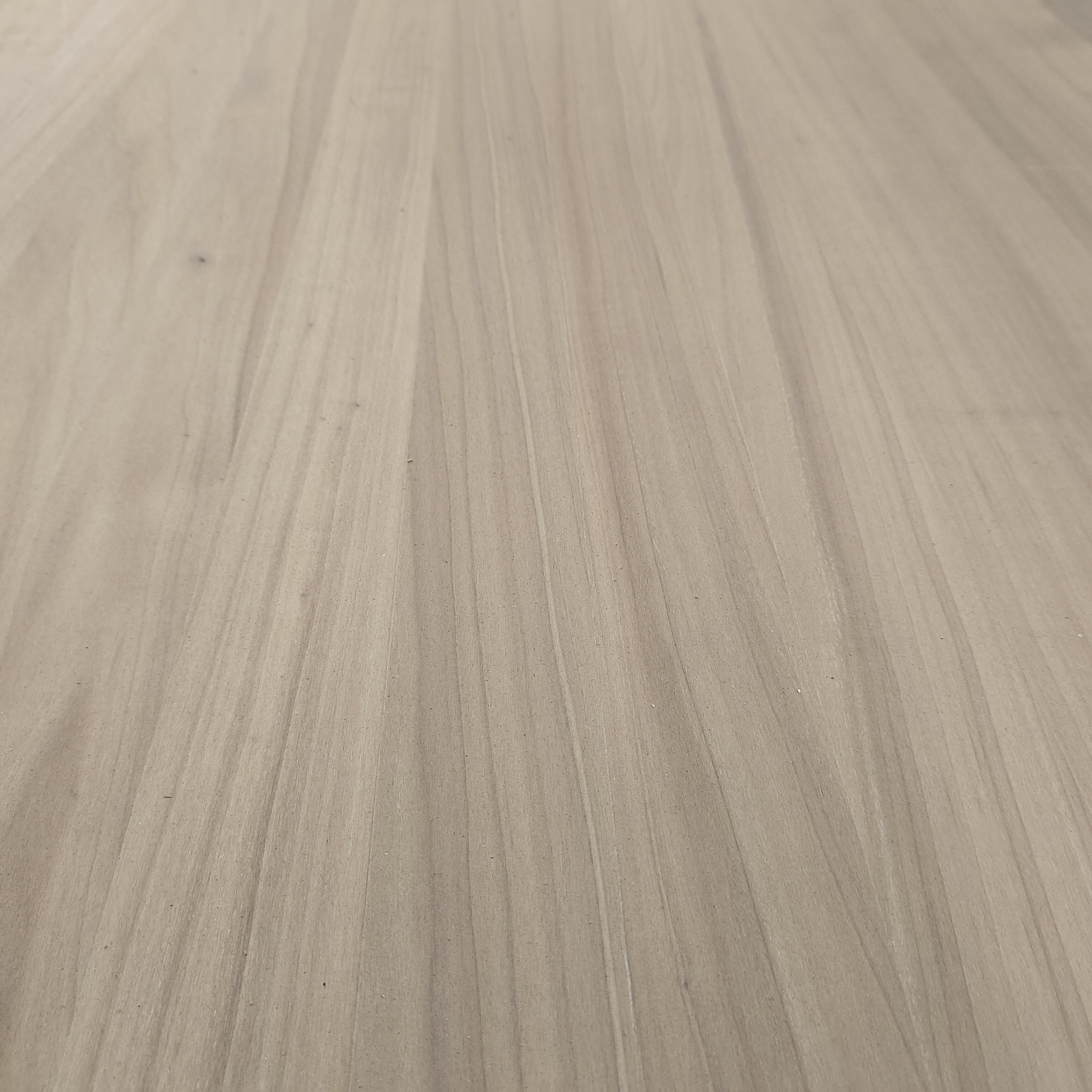 Търговия на едро с карбонизиран залепен панел от топола