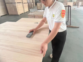 China Inspection manufacturer