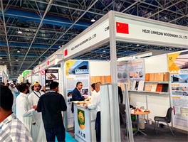 EXHIBITION EXPERIENCE