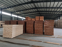 China Warehouse manufacturer