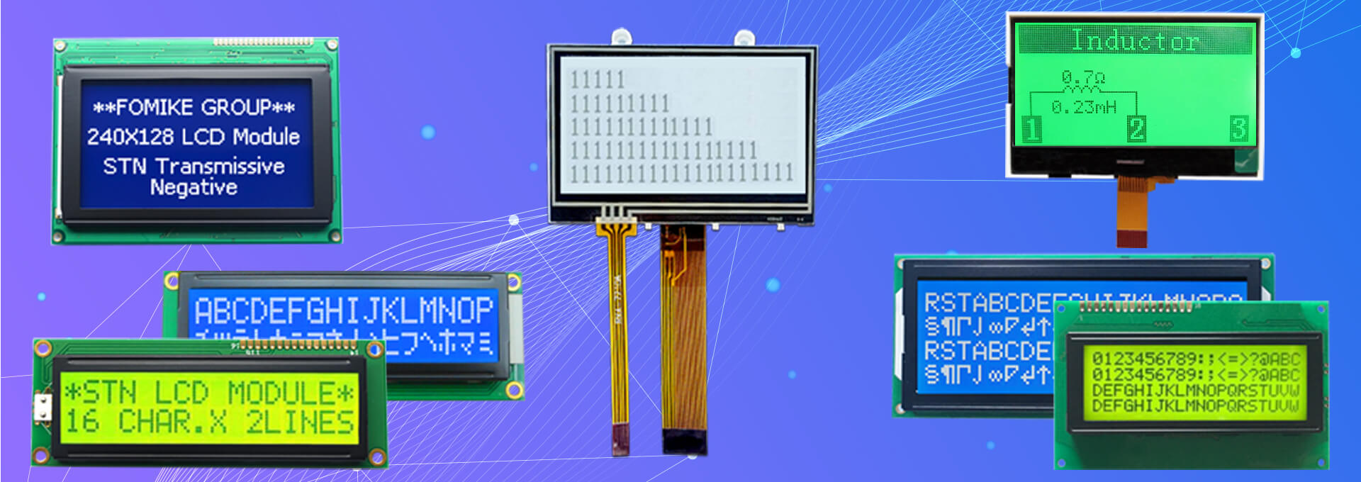 Monochrome LCD Module