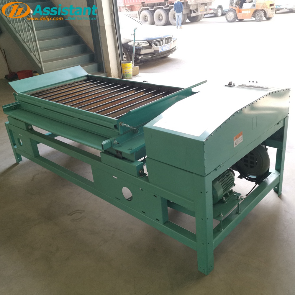 Strip Type Niddle Tea Carding Shaping Machine Pabrik Pemasok