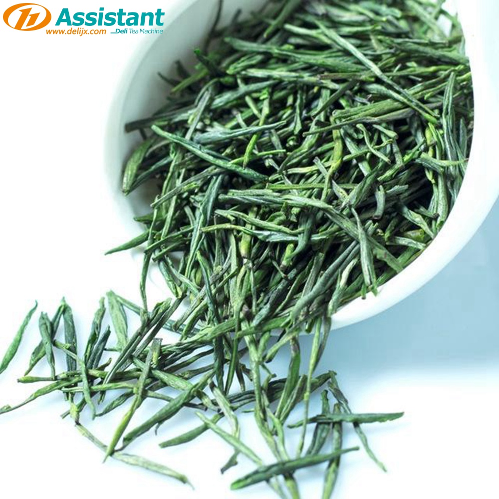 Strip Type Niddle Tea Carding Shaping Machine Pabrik Pemasok