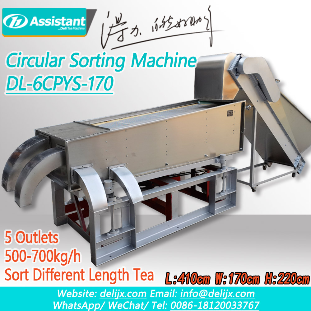 Fabricant de machine de tri à écran circulaire pour plan de feuille de thé