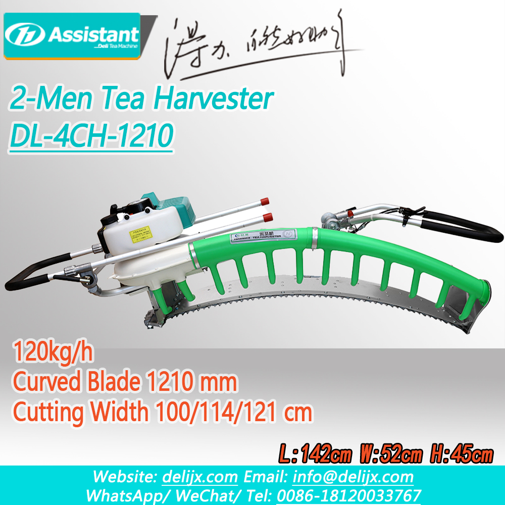 Double-Men Digunakan Pisau Melengkung Ochiai V8 Mesin Pemetik Teh 2-Tak DL-4CH-1210