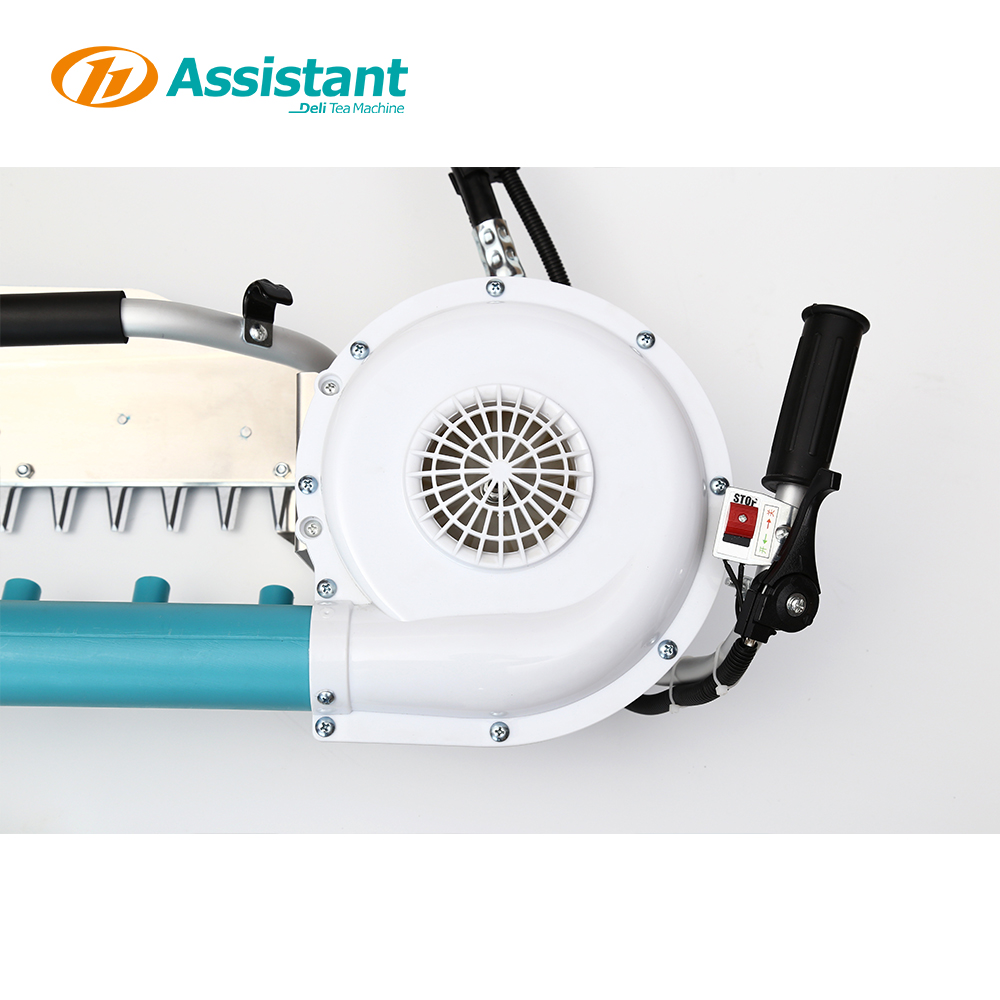 tea plucking machine