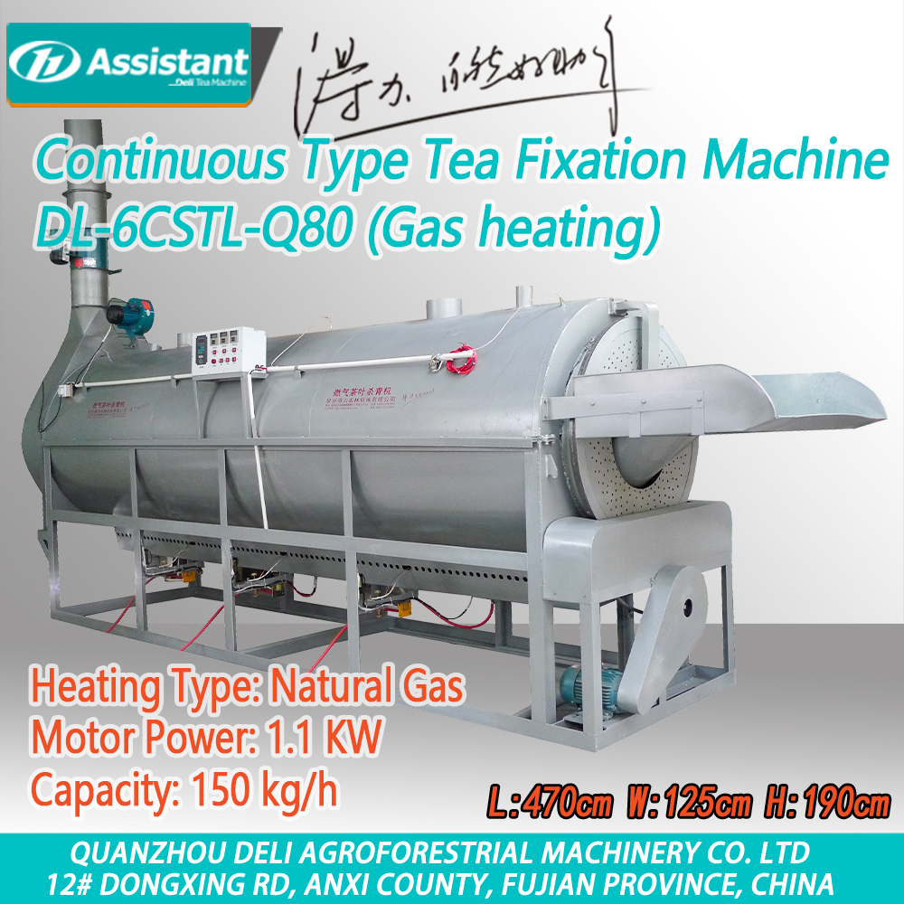 Gas Heating Continuous Type Tea Fixation Machine (De-Enzymer Machine) DL-6CSTL-Q80