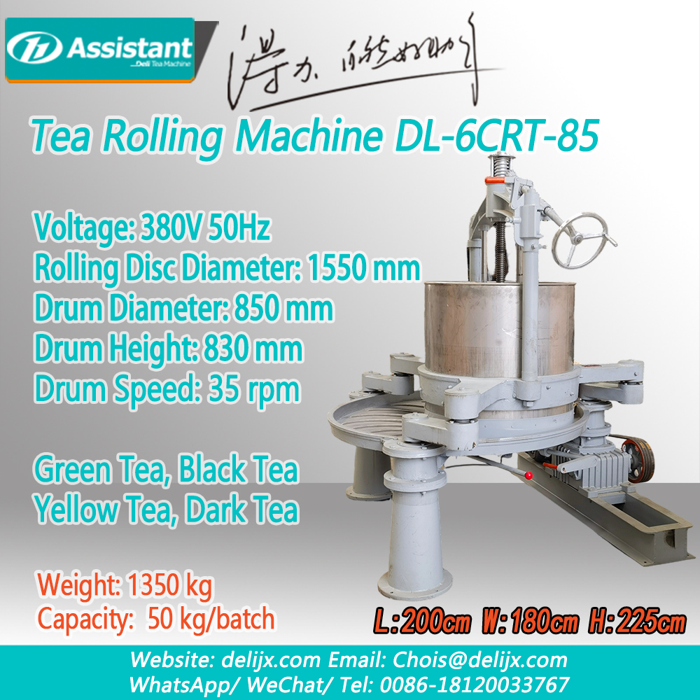 Large Double Action Tea Leaf Twist Machine DL-6CRT-75 - COPY - pcdsjh