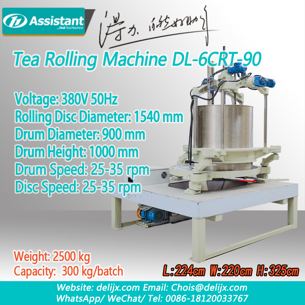 Mesin Penggulung dan Pemutar Teh Listrik Produksi Massal Industri DL-6CRT-90