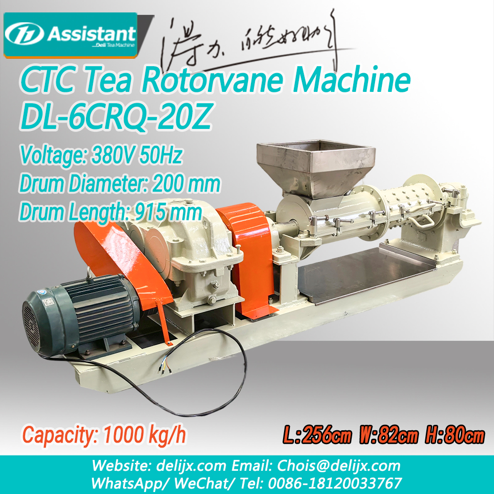 Rotorvane CTC Teh Rolling-Cutting Crusher baru DL-6CRQ-20Z