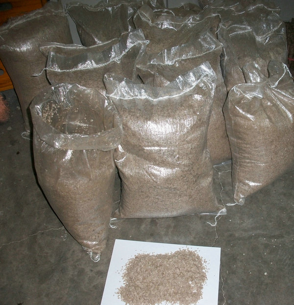 2023 fresh paulownia seeds kiri seeds on sale