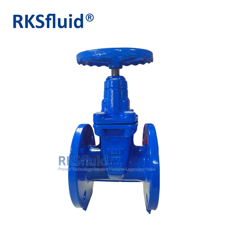China Gate Valve Manufacturer 1 Inch 2 Inch 4 Inch Cast Iron Flange Gate Valve Penstock for Fluids
