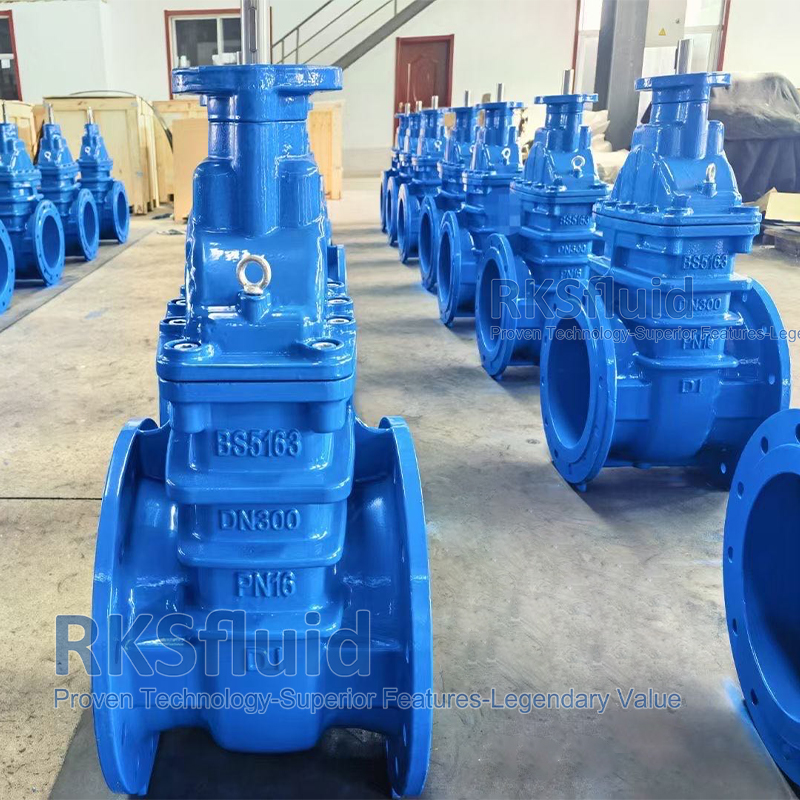 BS5163 DIN F4 F5 DN125 300mm ductile iron metal seated gate valve with prices for water supply application