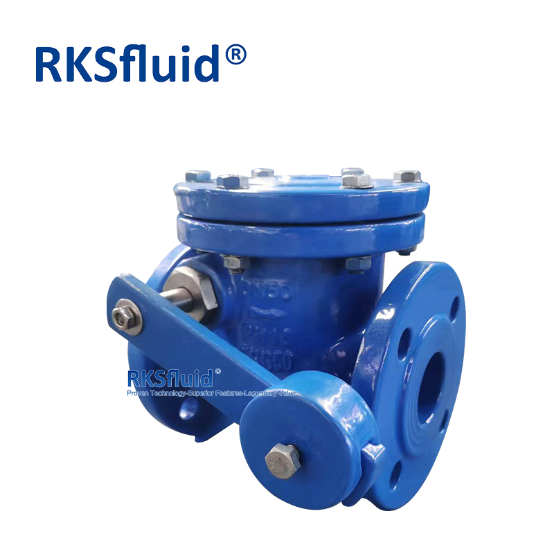 China customizable hot sale BS5153 cast iron metal seated wafer flange counter weight swing check valve manufacturer