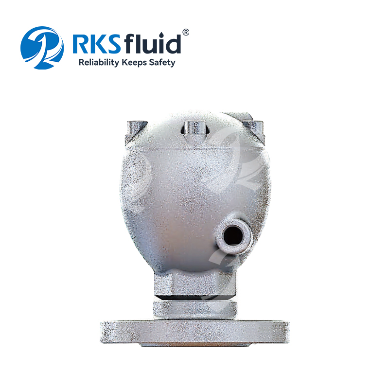 BS EN Stainless Steel Water Flange Air Release Valve DN20 DN25 PN40