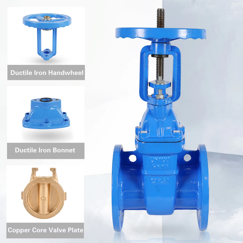 短納期 DIN 3352-f4 BS5163 上昇ステムダクタイル鋳鉄フランジ ゲート バルブ DN50 DN100 DN150 PN16 カスタマイズされたメーカー