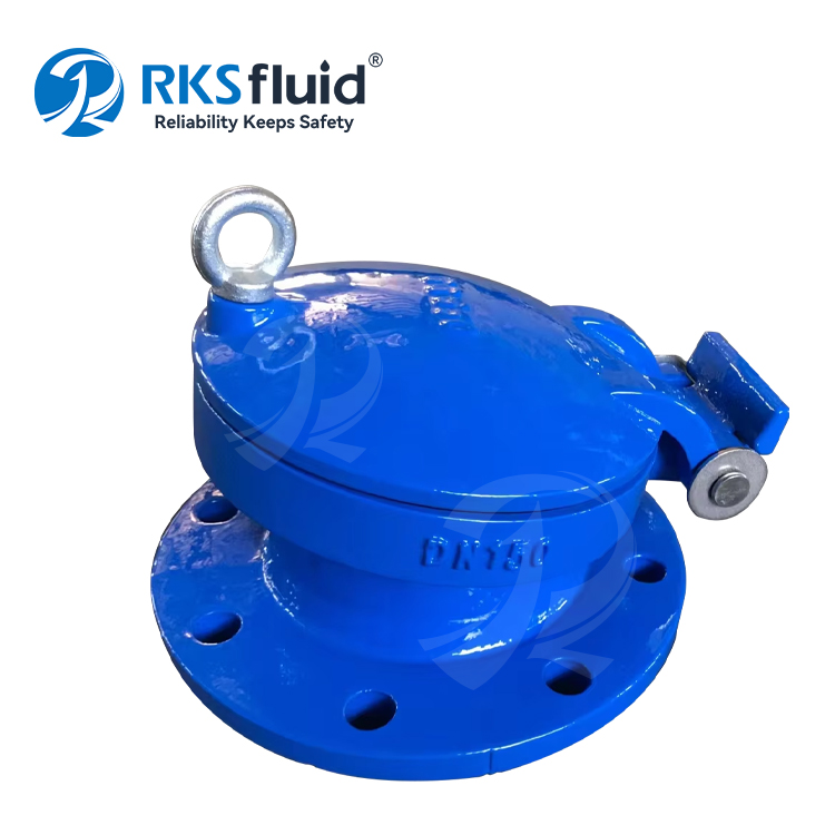 الشركة المصنعة من الحديد الزهر DN100 DN150 PN16 صمام رفرف مرن جالس مع شاشة