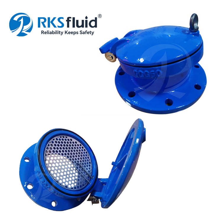 Manufacturer Cast Iron DN100 DN150 PN16 Flap Valve Resilient Seated with Screen - COPY - gg4sw0