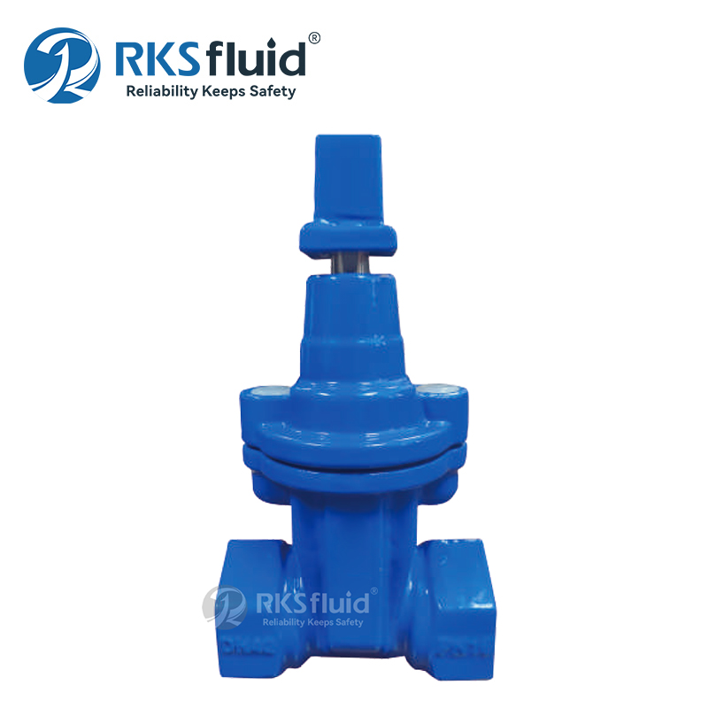 Fabrik-Bestpreis BS5163 Manueller, elastisch sitzender 50-mm-Absperrschieber PN10 aus duktilem Eisen mit Gewinde für Wasser