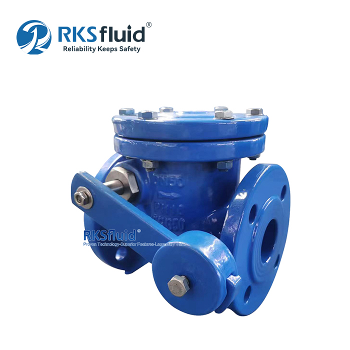 BS Ductile Cast Iron Double Flange DN300 DN350 DN450 Swing Check Valve PN16 with Lever Countweight