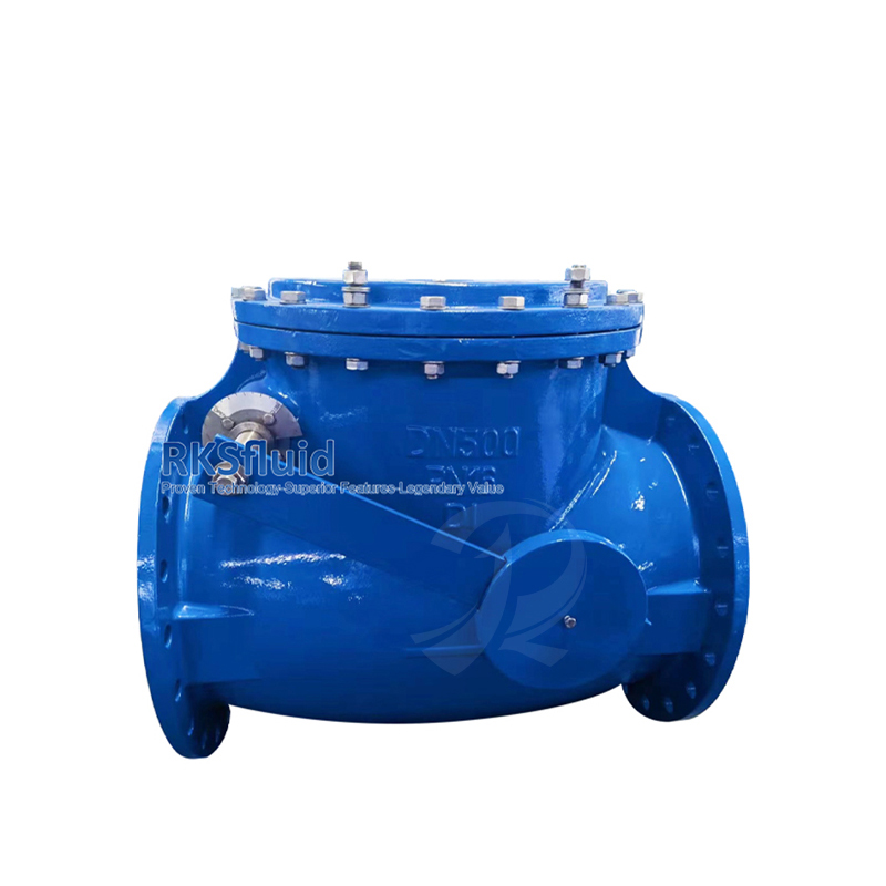 BS5153 Resilient Seated EPDM NBR Flange Type Wafer Swing Check Valve DN250 PN16 with Counterweight