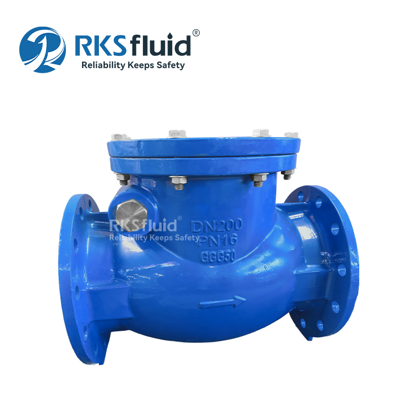 RKSfluid Fabricante de la válvula BS5153 Válvula de retención de brida de hierro fundido de obleas DN100 DN200 Personalizado