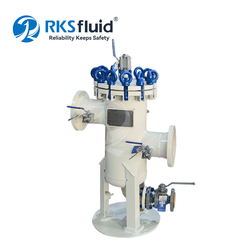RKSfluid Carcasa de filtro de cesta industrial de gran flujo de acero inoxidable de 10 pulgadas personalizada para tratamiento de agua