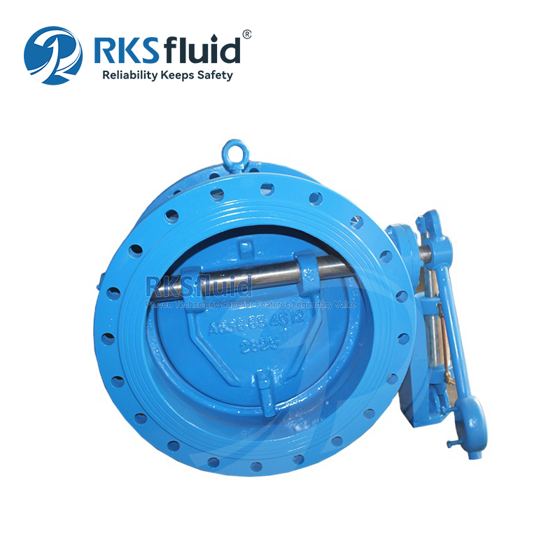 OEM Flanged Tilting Type Non Return Valve for Water Supply and Pump Backflow Protection