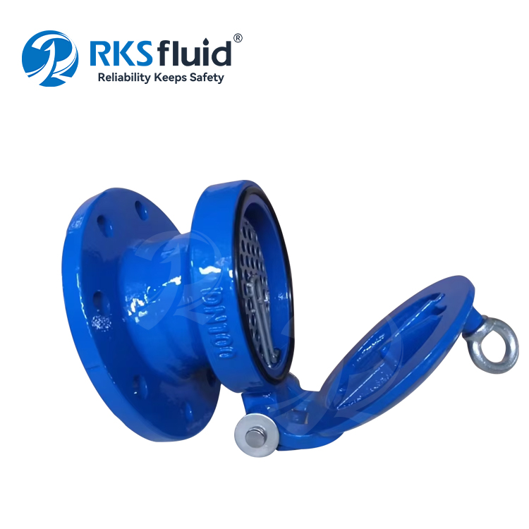 SATYR SERIE EN1092-2 BRILLA DE Iron Ductil End Válvula de colgajo de retroceso DN100 DN150 para aguas residuales