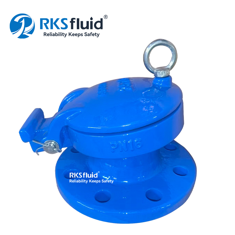 Venta al por mayor dúctil de la válvula de aleta del reborde del HDPE del hierro del OEM EN1092-2 modificada para requisitos particulares