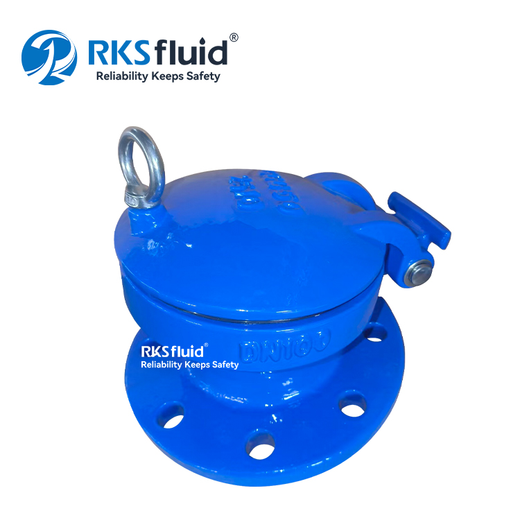 Satyr Series DN50 - DN600 Flange Flap Valve PN10 PN16