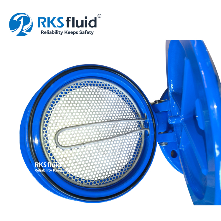 Tide Proof Swing Non Return Bottom Flap Valve