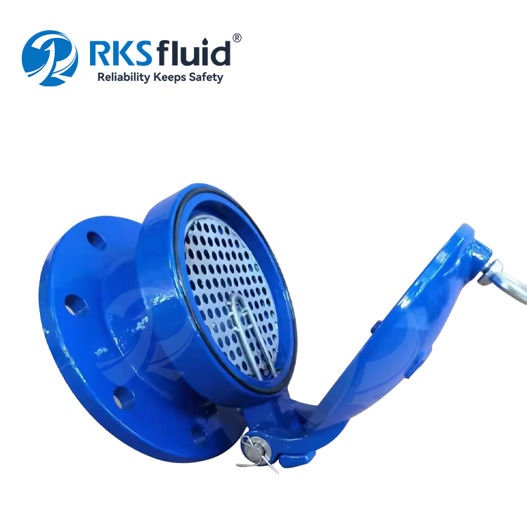 Flap valves flap gates flap disc cast iron flap valve