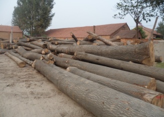 snowboard madera Core snowboard Deck snowboard Skate skiboard woodcores longboard, wakeboard