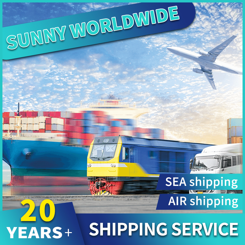 Swwls Cargo shipping agent from China to UK Europe usa canada