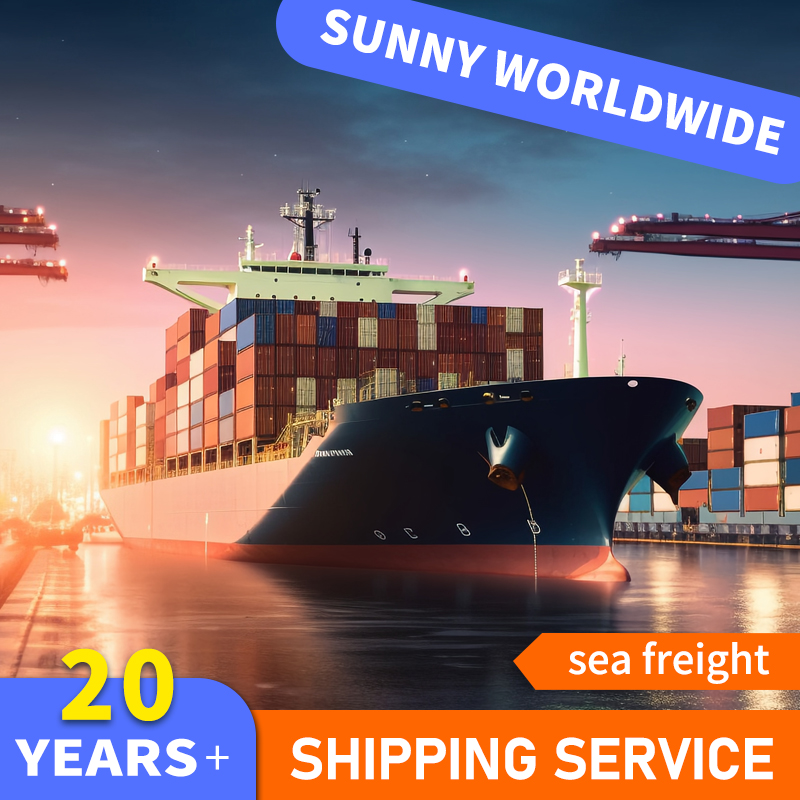 China SWWLS DDP Sea Freight Ocean 20ft Containers Shipping To Somalia for Excavator Shipping Freight Forwarder