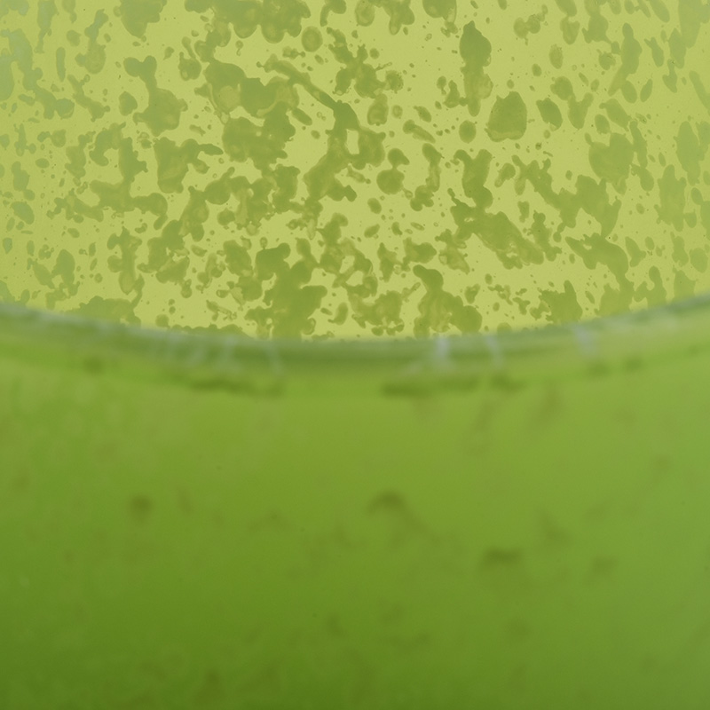 SGJD21012901_3.JPG