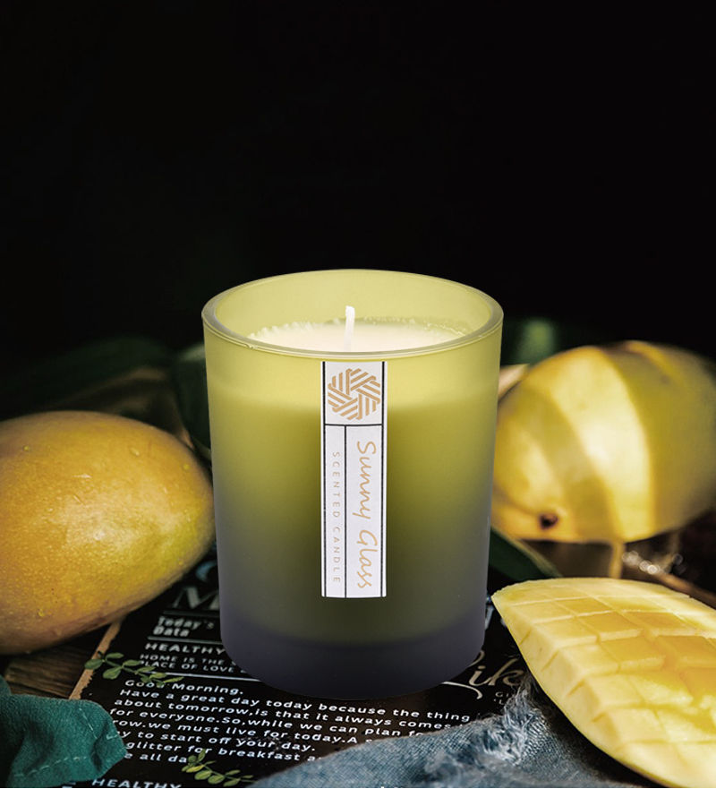 10oz 300ml Frosted Colored Glass candle containers home decor