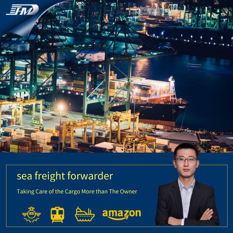 最优惠价格浙江广东货运代理中国义乌到荷兰海运国际物流深圳海运代理