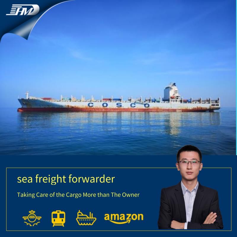 最优惠价格浙江广东货运代理中国义乌到荷兰海运国际物流深圳海运代理