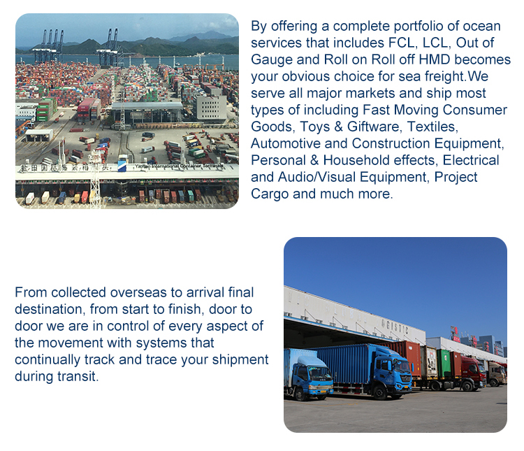 cheap and fast international sea freight from china shenzhen to Tampa USA with door to door service