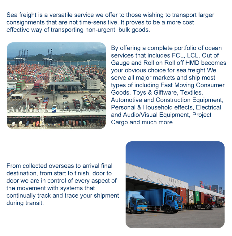 cheap and fast international sea freight from china shenzhen to Tampa USA with door to door service