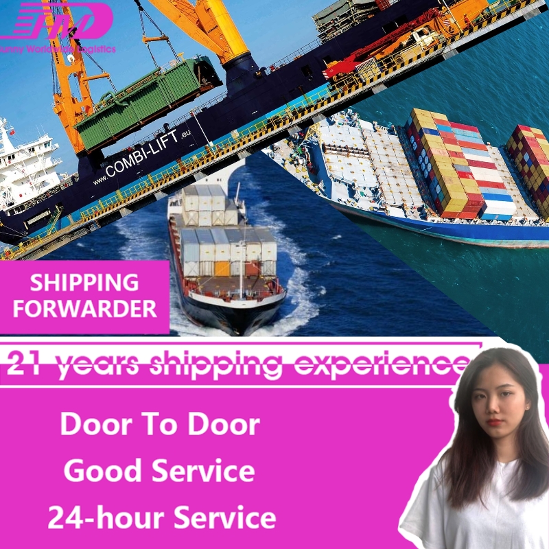 Cheap sea freight door to door shipping service from China to Jamaica
