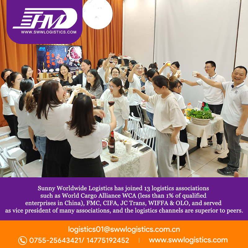 Swwls Fcl Container Warehouse Consolidation Service Sea Freight Forwarder Shipping Agent to Austria