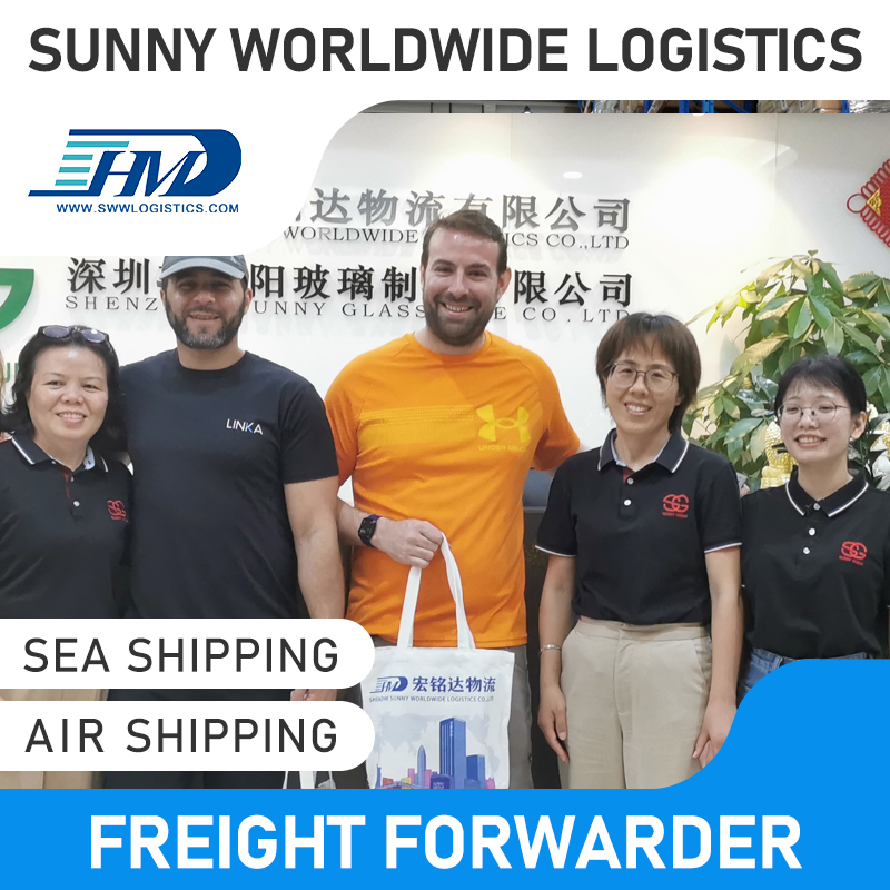 Serviço de transporte Swwls da China para a Malásia FCL LCL Agente de transporte marítimo de despachante marítimo taxas de frete marítimo baratas