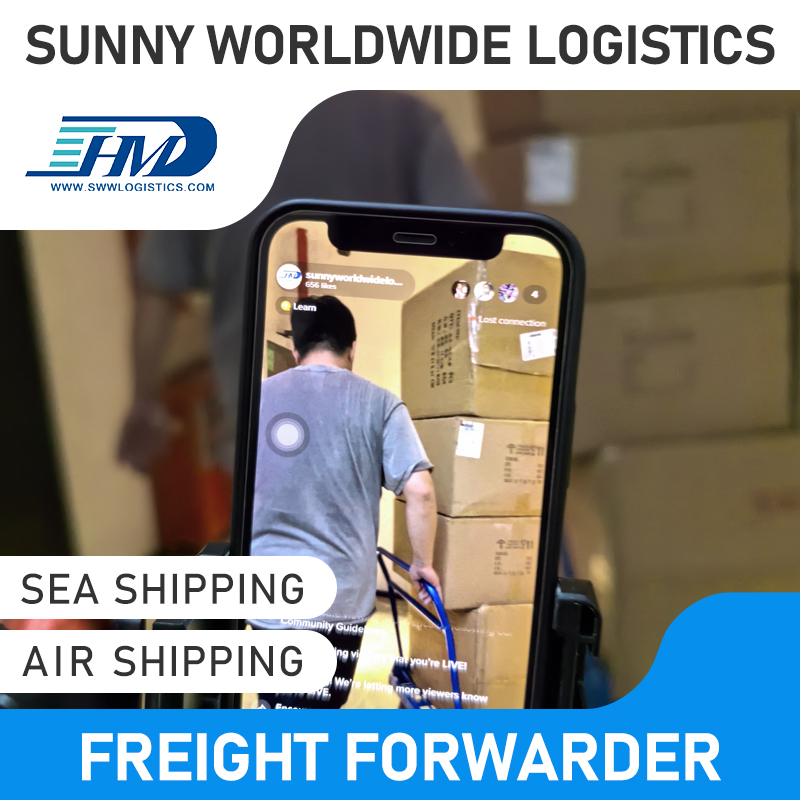 Swwls DDP Cargo Ship Logistics Services Air Express Freight Forwarder China to Netherlands