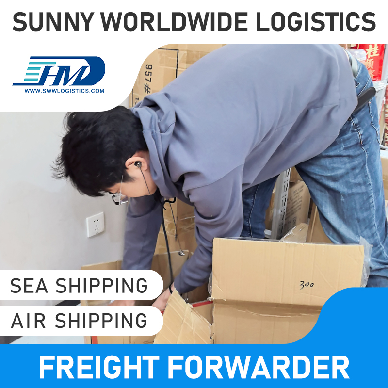 Swwls CIFサービス航空貨物運送業者中国からの中国からタイへの配送料