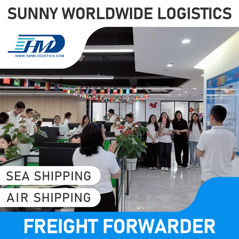 Swwls transitaire maritime de la Chine vers l'Italie DDP expédition logistique agent d'expédition à taux de fret compétitif