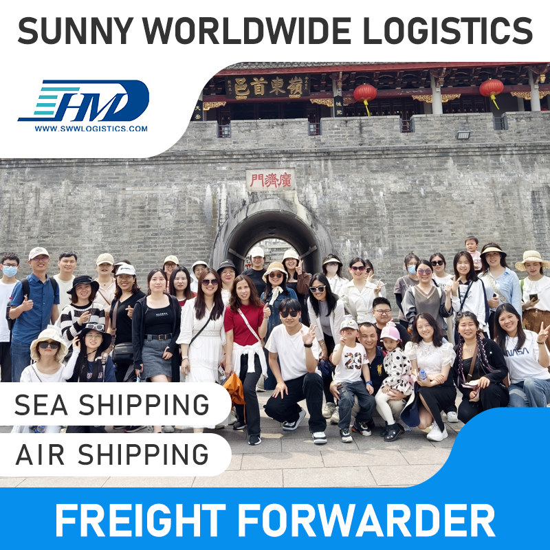 Swwls CIF Service Luftfrachtspediteur aus China Versand von China nach Spanien Versandkosten