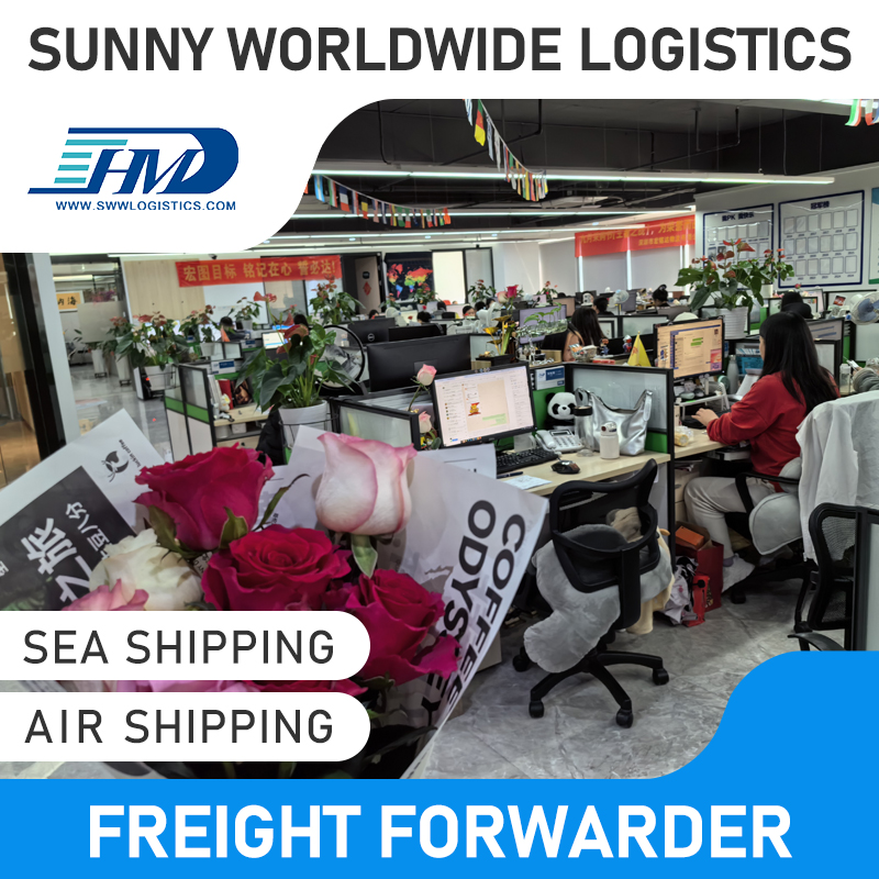Swwls taxas de transporte marítimo baratas da China Shenzhen Guangzhou Shanghai para a Áustria Entrega porta a porta